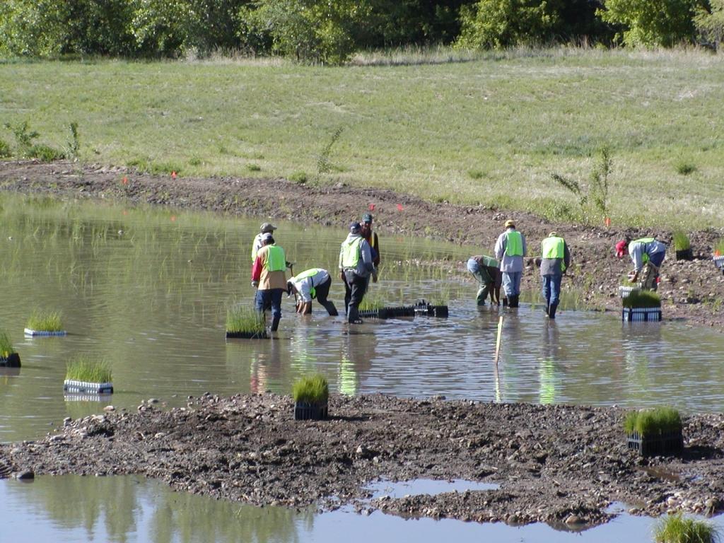 Ecological Restoration Environment Blog