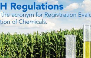 reach regulations