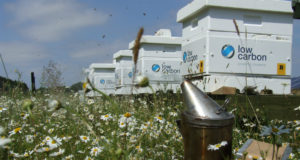 Low Carbons Bee Hives