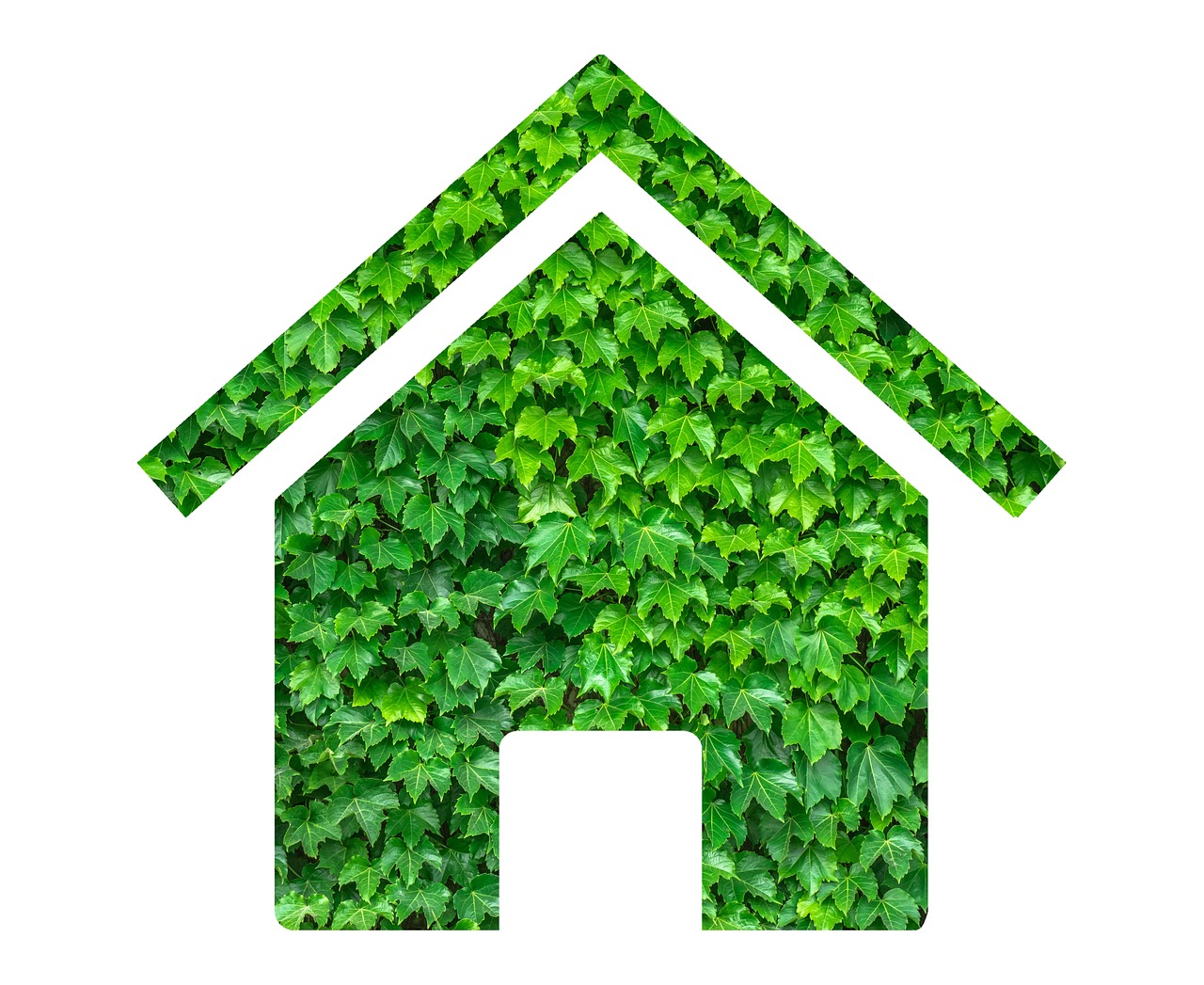 How to Keep your Home and Garden Energy Efficient